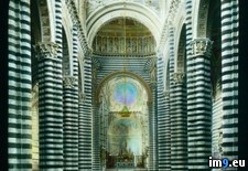 Tags: assumption, cathedral, interior, mary, nave, siena (Pict. in Branson DeCou Stock Images)
