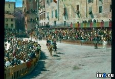Tags: horses, palio, racing, siena (Pict. in Branson DeCou Stock Images)