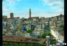 Tags: rooftops, siena (Pict. in Branson DeCou Stock Images)