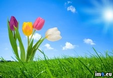 Tags: signs, spring (Pict. in Beautiful photos and wallpapers)