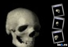 Tags: black, skull (GIF in Evil, dark GIF's - avatars and horrors)