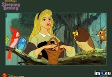 Tags: cartoons, for, kids, sleepingbeauty (Pict. in Cartoon Wallpapers And Pics)