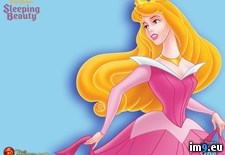 Tags: cartoons, for, kids, sleepingbeauty (Pict. in Cartoon Wallpapers And Pics)