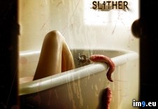 Tags: bathtub, horror, movies, slither (Pict. in Horror Movie Wallpapers)