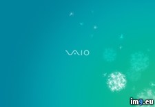 Tags: normal, sony, vaio, wallpaper (Pict. in Unique HD Wallpapers)