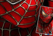 Tags: com, ilikewallpaper, iphone, man, spider, wallpaper (Pict. in IPhone 5 wallpapers W3S)