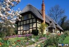 Tags: england, garden, normal, spring, wallpaper (Pict. in Unique HD Wallpapers)