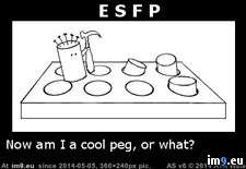 Tags: esfp, hole, mbti, myersbriggs, peg, personality, square (Pict. in Rehost)