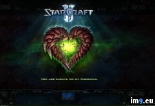 Tags: game, starcraft, wallpaper, wide (Pict. in Unique HD Wallpapers)