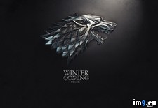 Tags: stark (Pict. in Game of Thrones ART (A Song of Ice and Fire))