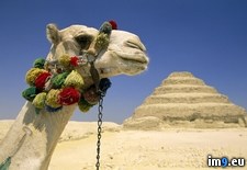 Tags: pyramid, step (Pict. in National Geographic Photo Of The Day 2001-2009)