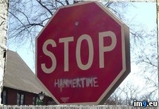 Tags: funny, hammertime, meme, stop (Pict. in Funny pics and meme mix)