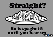 Tags: funny, gay, heat, lgbt, meme, small, spaghetti, straight (Pict. in Rehost)
