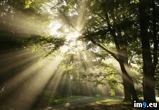 Tags: streaming, sunbeams (Pict. in Beautiful photos and wallpapers)