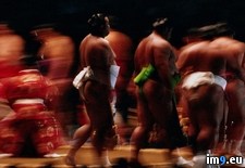 Tags: sumo, wrestlers (Pict. in National Geographic Photo Of The Day 2001-2009)
