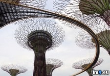 Tags: aerial, bay, gardens, singapore, supertree, walkway (Pict. in Beautiful photos and wallpapers)