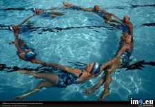 Tags: california, swimming, synchronized (Pict. in National Geographic Photo Of The Day 2001-2009)