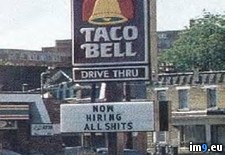 Tags: bell, funny, hiring, meme, taco (Pict. in Funny pics and meme mix)