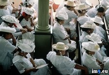 Tags: churchgoers, tahiti (Pict. in National Geographic Photo Of The Day 2001-2009)