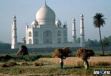 Tags: mahal, taj, workers (Pict. in National Geographic Photo Of The Day 2001-2009)