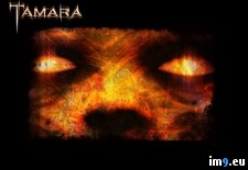 Tags: horror, movies, tamara (Pict. in Horror Movie Wallpapers)