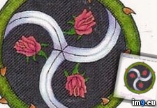 Tags: circle, design, rose, tattoo (Pict. in Rose Tattoos)