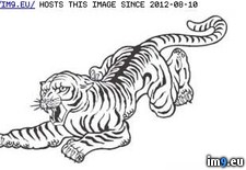 Tags: design, tattoo (Pict. in Tiger Tattoos)