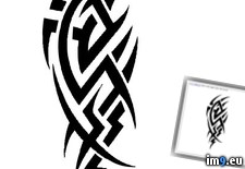 Tags: badge9, design, tattoo (Pict. in Tribal Tattoos)