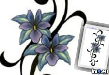 Tags: bc551, design, tattoo (Pict. in Flower Tattoos)
