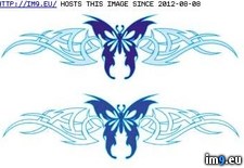 Tags: bisb6, design, tattoo (Pict. in Butterfly Tattoos)