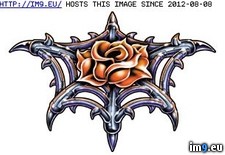 Tags: cd526, design, tattoo (Pict. in Rose Tattoos)