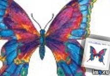 Tags: buterfly, colorful, design, tattoo (Pict. in Butterfly Tattoos)