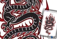 Tags: design, dr803, tattoo (Pict. in Dragon Tattoos)