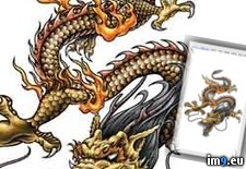 Tags: design, dr807, tattoo (Pict. in Dragon Tattoos)