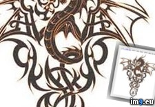 Tags: design, dr809, tattoo (Pict. in Dragon Tattoos)
