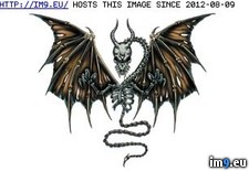 Tags: design, dr817, tattoo (Pict. in Dragon Tattoos)