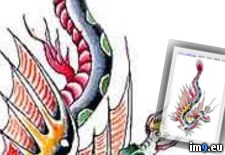 Tags: design, dragon, geisha, tattoo (Pict. in Dragon Tattoos)