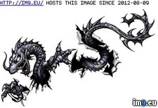 Tags: design, dragon1, tattoo (Pict. in Dragon Tattoos)