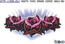 Tags: design, eg563, tattoo (Pict. in Rose Tattoos)