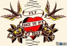 Tags: design, fly, tattoo (Pict. in Tattoo Flash)