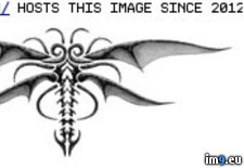 Tags: design, gothic, med, moth, scale, tattoo (Pict. in Insects Tattoos)