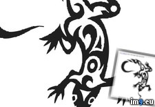 Tags: design, lizard2, tattoo (Pict. in Tribal Tattoos)