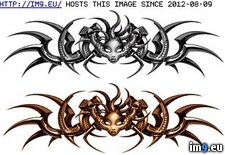 Tags: back2, design, tattoo (Pict. in Tribal Tattoos)