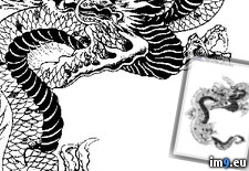 Tags: design, p25, tattoo (Pict. in Dragon Tattoos)