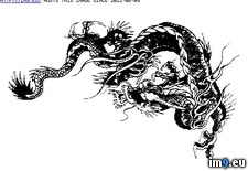 Tags: design, p25, tattoo (Pict. in Dragon Tattoos)