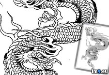 Tags: design, p43, tattoo (Pict. in Dragon Tattoos)