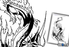 Tags: design, p66, tattoo (Pict. in Dragon Tattoos)