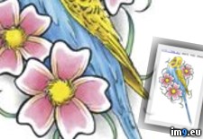 Tags: bird, design, flowers, pet, tattoo (Pict. in Birds Tattoos)