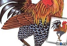 Tags: design, rooster2, tattoo (Pict. in Tattoo Flash)