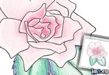 Tags: design, rose, tattoo (Pict. in Rose Tattoos)